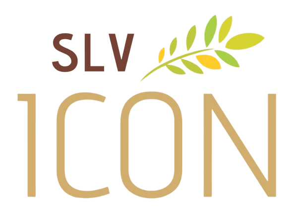 Slv Letter Logo Design On Black Stock Vector (Royalty Free) 2242386777 |  Shutterstock